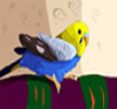 Parakeet after painting